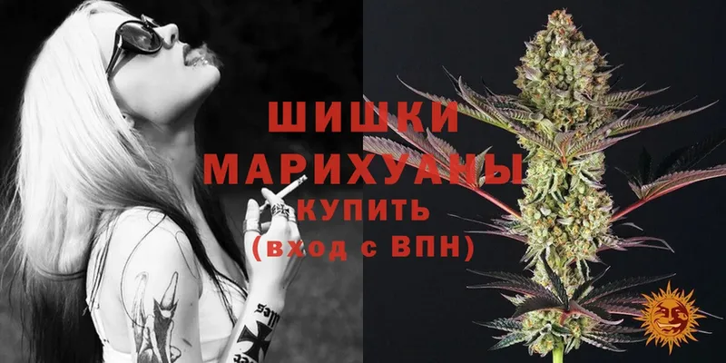 блэк спрут   Муром  МАРИХУАНА SATIVA & INDICA 